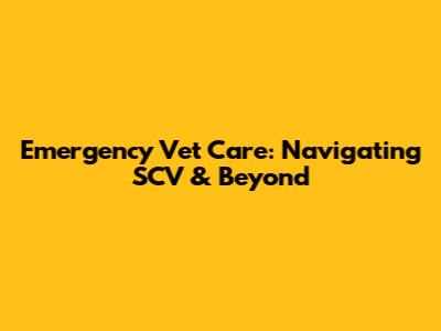 Emergency Vet Care: Navigating SCV & Beyond