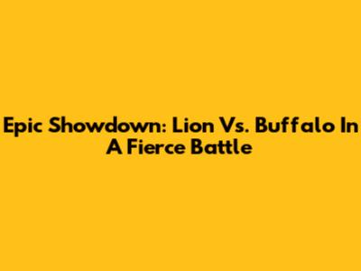 Epic Showdown: Lion Vs. Buffalo In A Fierce Battle