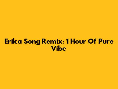 Erika Song Remix: 1 Hour Of Pure Vibe