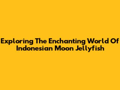 Exploring The Enchanting World Of Indonesian Moon Jellyfish