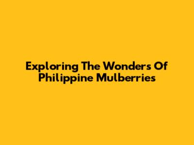 Exploring The Wonders Of Philippine Mulberries