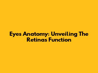 Eyes' Anatomy: Unveiling The Retina's Function