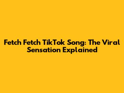 Fetch Fetch TikTok Song: The Viral Sensation Explained