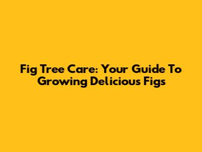 Fig Tree Care: Your Guide To Growing Delicious Figs