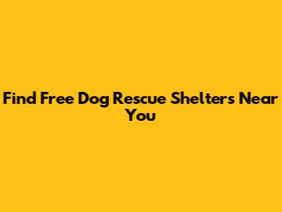 Find Free Dog Rescue Shelters Near You
