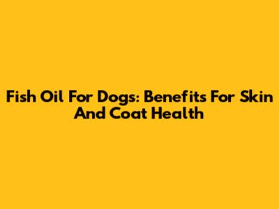 Fish Oil For Dogs: Benefits For Skin And Coat Health