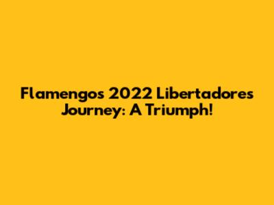 Flamengo's 2022 Libertadores Journey: A Triumph!