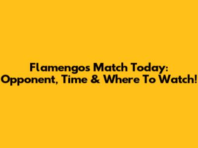 Flamengo's Match Today: Opponent, Time & Where To Watch!
