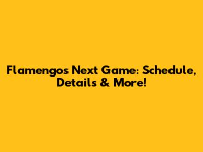 Flamengo's Next Game: Schedule, Details & More!