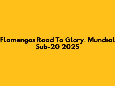 Flamengo's Road To Glory: Mundial Sub-20 2025
