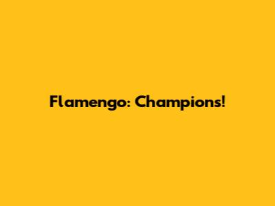 Flamengo: Champions!