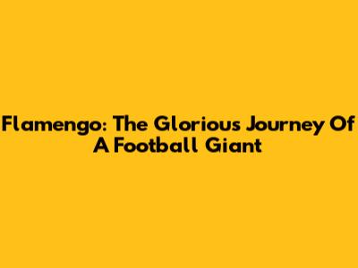 Flamengo: The Glorious Journey Of A Football Giant