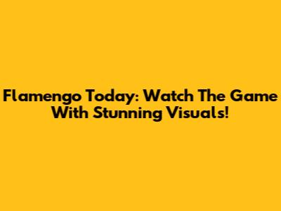 Flamengo Today: Watch The Game With Stunning Visuals!