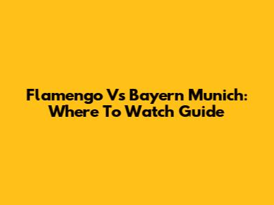 Flamengo Vs Bayern Munich: Where To Watch Guide