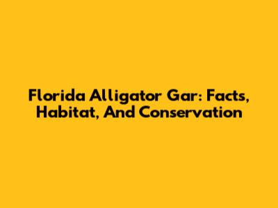 Florida Alligator Gar: Facts, Habitat, And Conservation