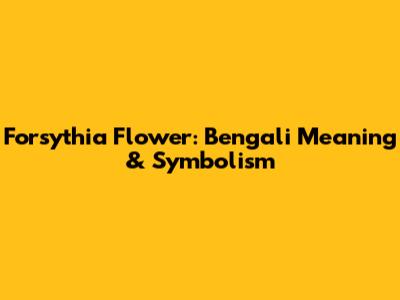 Forsythia Flower: Bengali Meaning & Symbolism