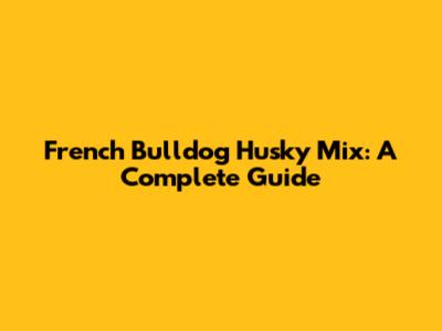 French Bulldog Husky Mix: A Complete Guide