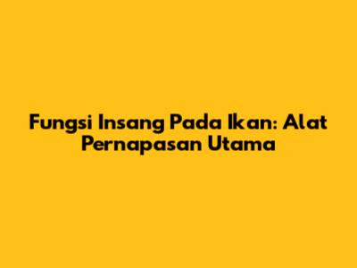 Fungsi Insang Pada Ikan: Alat Pernapasan Utama