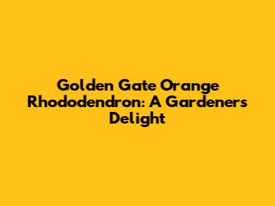 Golden Gate Orange Rhododendron: A Gardener's Delight