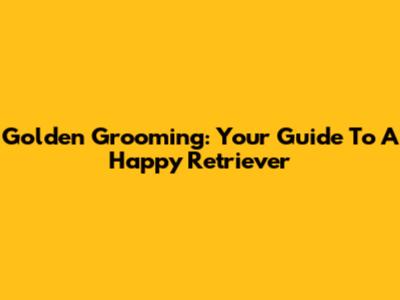 Golden Grooming: Your Guide To A Happy Retriever
