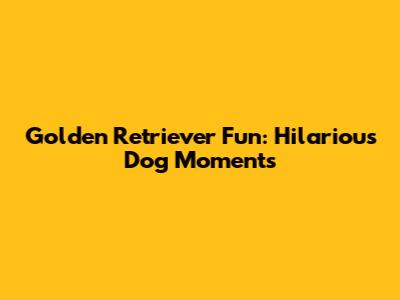 Golden Retriever Fun: Hilarious Dog Moments