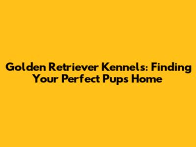 Golden Retriever Kennels: Finding Your Perfect Pup's Home