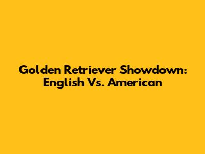 Golden Retriever Showdown: English Vs. American