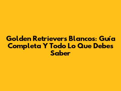 Golden Retrievers Blancos: Guía Completa Y Todo Lo Que Debes Saber