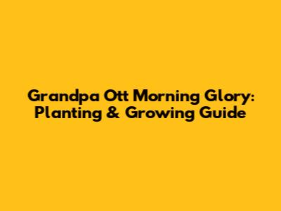 Grandpa Ott Morning Glory: Planting & Growing Guide