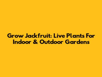 Grow Jackfruit: Live Plants For Indoor & Outdoor Gardens