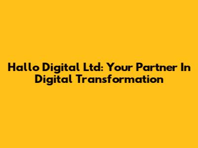 Hallo Digital Ltd: Your Partner In Digital Transformation
