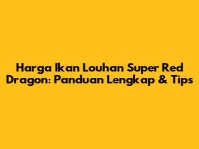 Harga Ikan Louhan Super Red Dragon: Panduan Lengkap & Tips