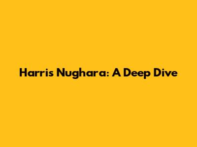 Harris Nughara: A Deep Dive