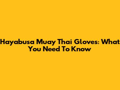 Hayabusa Muay Thai Gloves: What You Need To Know