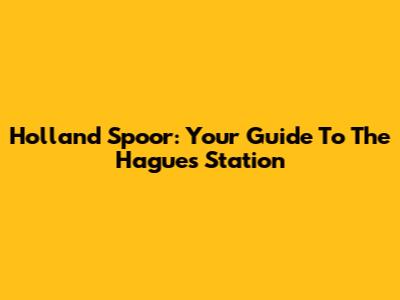 Holland Spoor: Your Guide To The Hague's Station