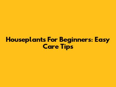 Houseplants For Beginners: Easy Care Tips