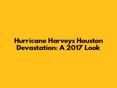 Hurricane Harvey's Houston Devastation: A 2017 Look