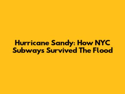 Hurricane Sandy: How NYC Subways Survived The Flood