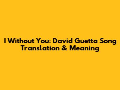 I Without You: David Guetta Song Translation & Meaning