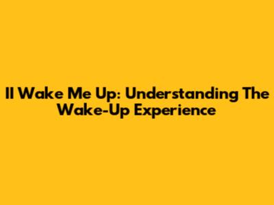 II Wake Me Up: Understanding The Wake-Up Experience