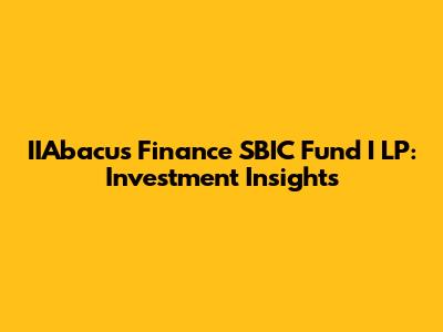 IIAbacus Finance SBIC Fund I LP: Investment Insights