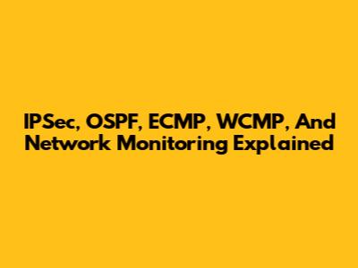 IPSec, OSPF, ECMP, WCMP, And Network Monitoring Explained