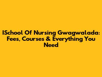 ISchool Of Nursing Gwagwalada: Fees, Courses & Everything You Need