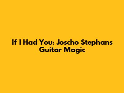 If I Had You: Joscho Stephan's Guitar Magic