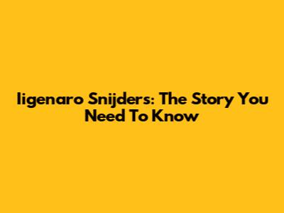 Iigenaro Snijders: The Story You Need To Know