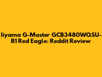 Iiyama G-Master GCB3480WQSU-B1 Red Eagle: Reddit Review