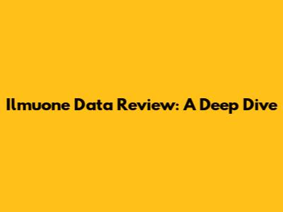 Ilmuone Data Review: A Deep Dive