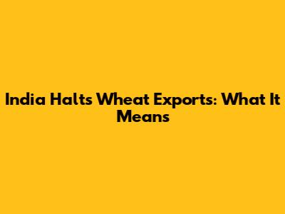 India Halts Wheat Exports: What It Means