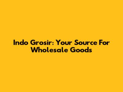 Indo Grosir: Your Source For Wholesale Goods