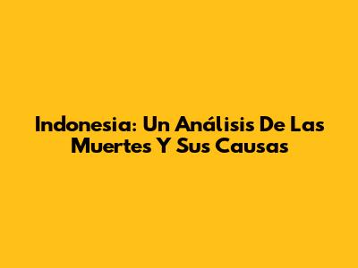 Indonesia: Un Análisis De Las Muertes Y Sus Causas